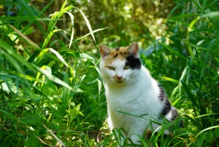カメラの佐々木さんのアイコン