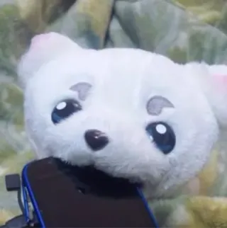 ウッチーさんのアイコン