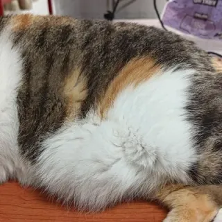 EltonXEさんのアイコン
