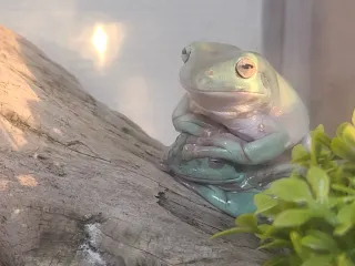 おっぴさんのアイコン
