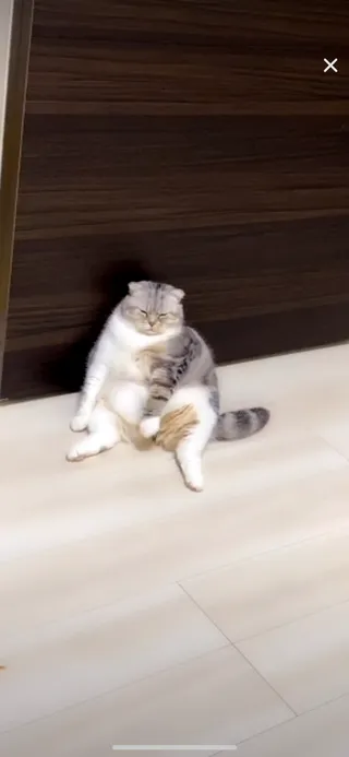 キューピーさんのアイコン