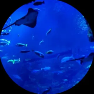ととさんのアイコン