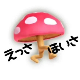 どぅーちぇさんのアイコン