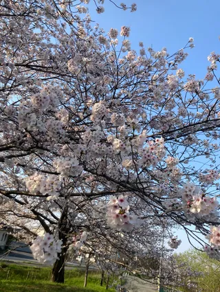 アスカさんのアイコン
