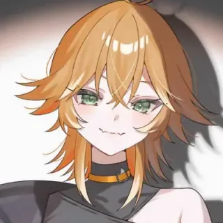 めむすけ＊さんのアイコン