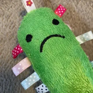 ホトくろさんのアイコン