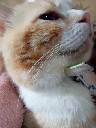 こなつさんのアイコン