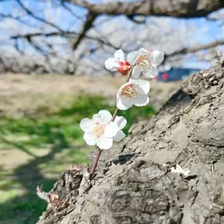 もっつんさんのアイコン