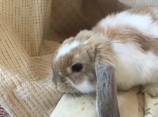 kさんのアイコン