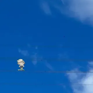 だんさんのアイコン