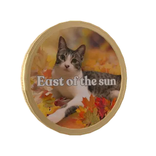 さばしろの11月East of the sun