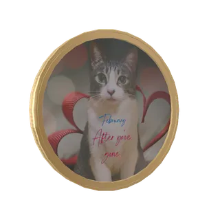 さばしろの2月After you've gone　ジャズスタンダードをあなたに