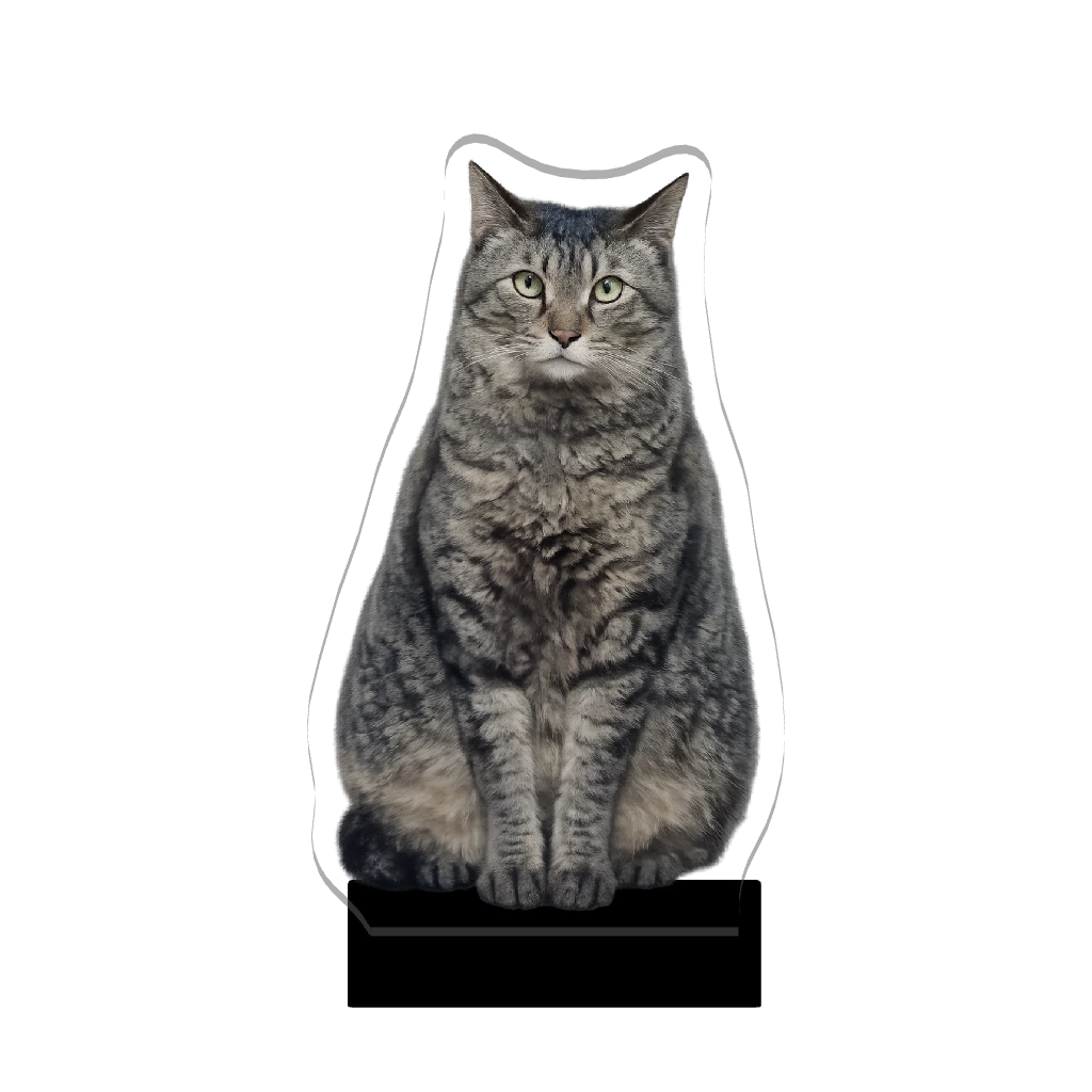 3Dアクリルスタンド（ひつじ）お猫さま②