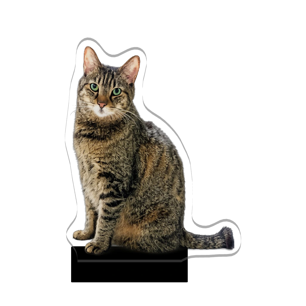3Dアクリルスタンド（ひつじ）お猫さま①