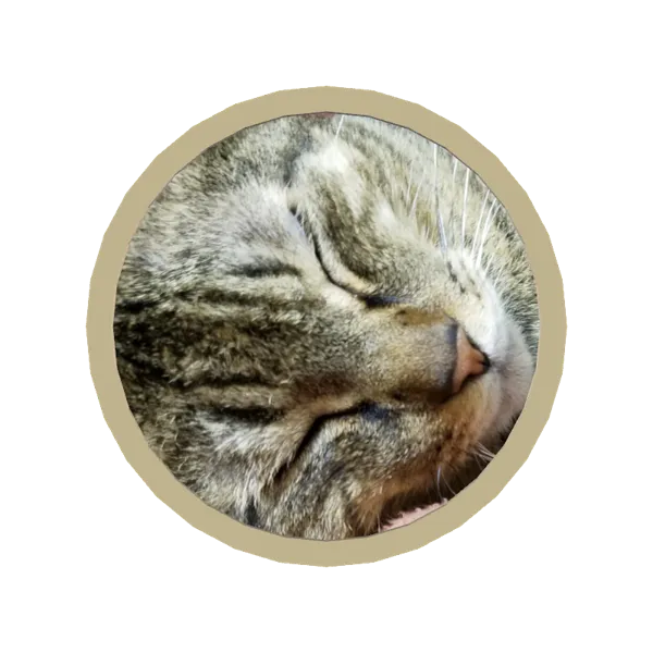 3Dタイマーボイスメダル（ひつじ）お猫さま③