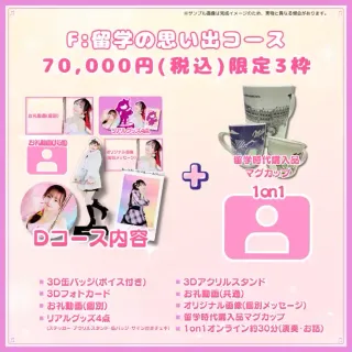 F:留学の思い出コース