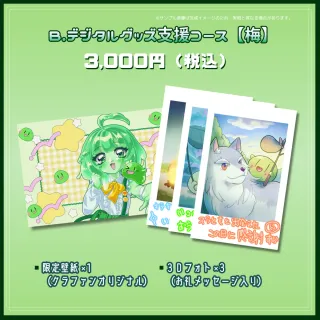 B.デジタルグッズ支援コース【梅】