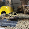 よっさぁん