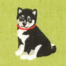 犬林クロ