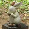 京極堂の猫