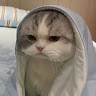 春