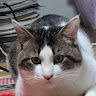 SAMAELU