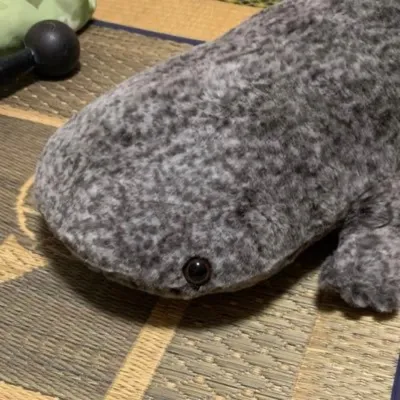 石ころの化身　未登録