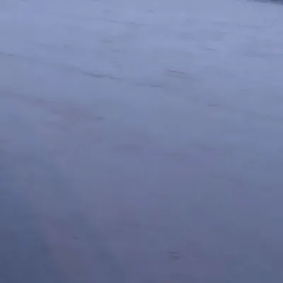 流れ草