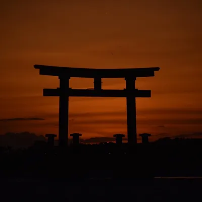 揚げたてのえび