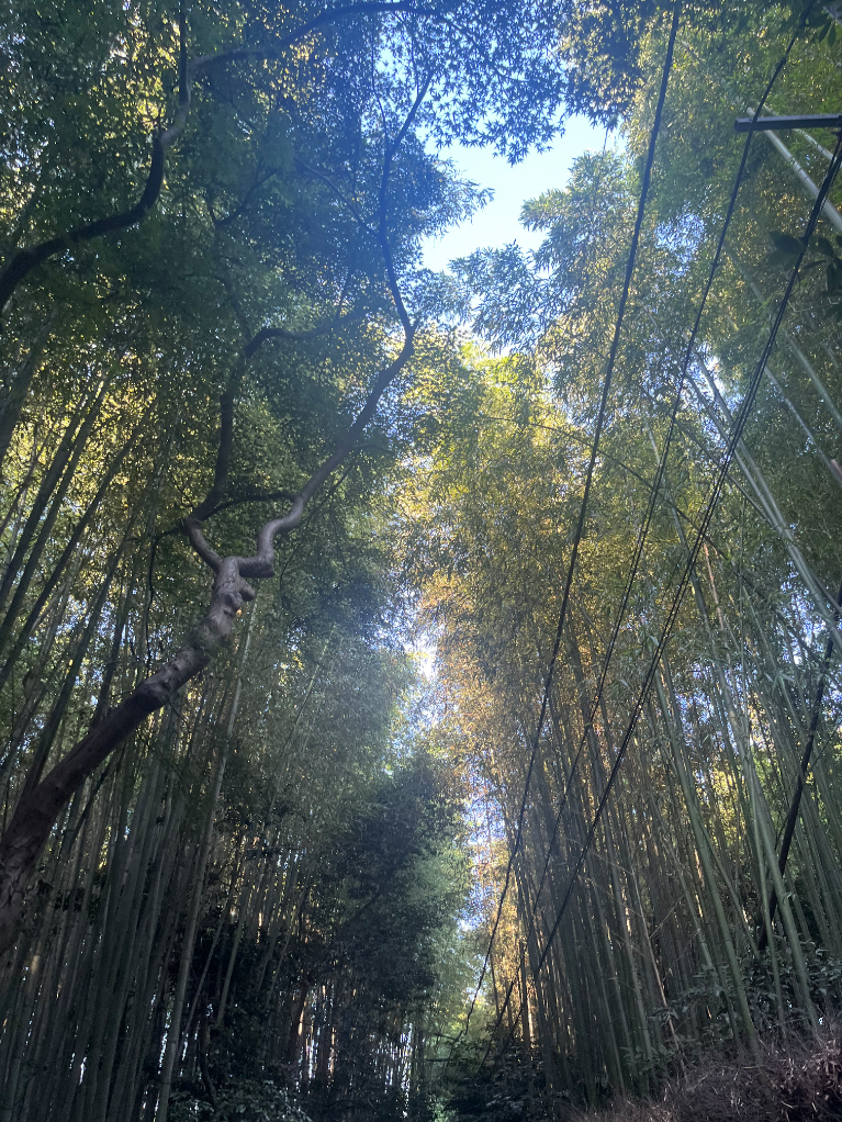 無名