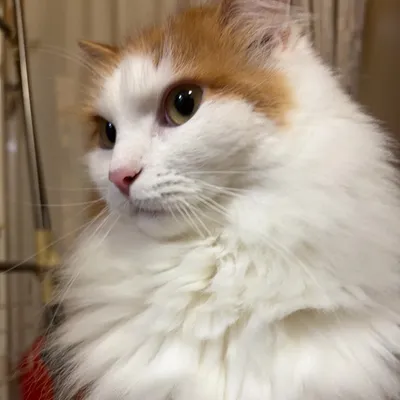 メーカ