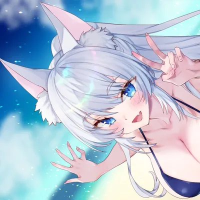 Aquari