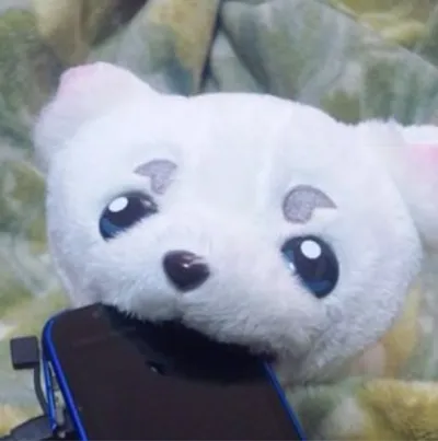 ウッチー
