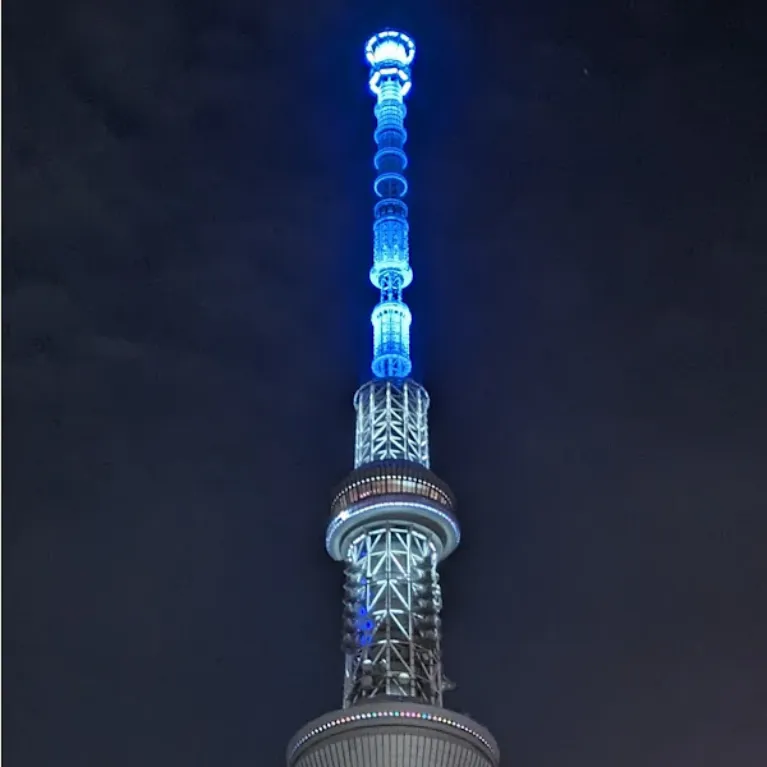 せふぃー