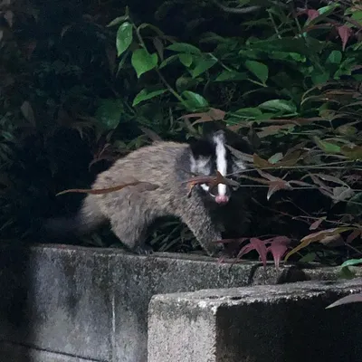 てて