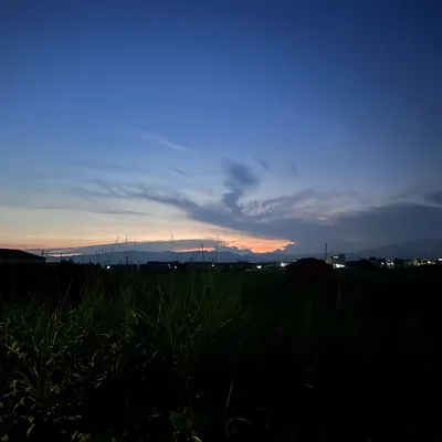 と