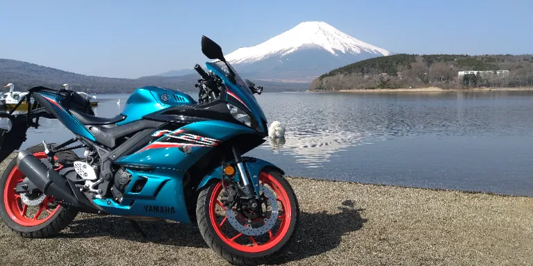 なりのり